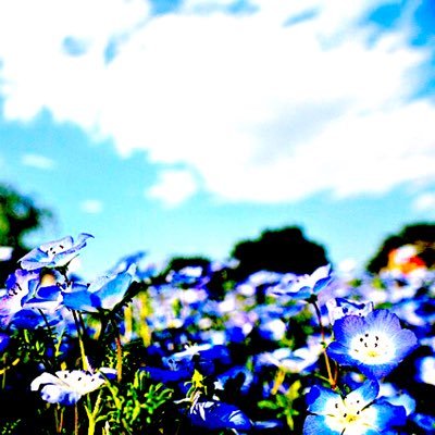 ammonite_RURI's profile picture. ｜NORD🦁❤️ིྀ🐶💙ིྀ🐚💚ིྀ🐒💛ིྀノル友｜島太星💚ིྀ🍑⚫️🦖アンモナイト｜Love Harmony's, Inc. (LHI )💚ིྀ🎶Shine(社員)｜小中大🟦✏️｜星野源｜｜日常のこと、推しのこと｜お気軽にどうぞー