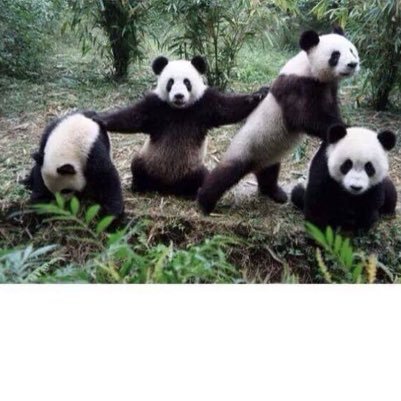 Seb_ismyname's profile picture. N'en dites pas plus