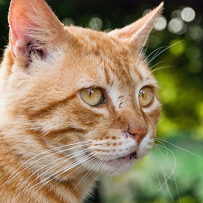 ユウナマ ▶ ホココス行く予定でした