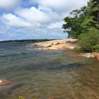 Michelle Rao (@michellerao15) 's Twitter Profile