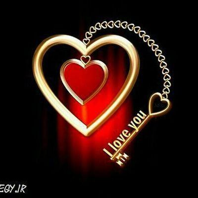 amirpar12470802's profile picture. فرهنگ و هنر موسیقی اخبار