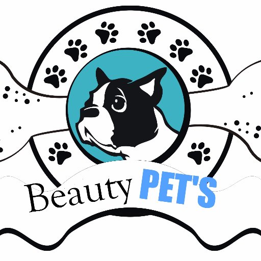 Beautypets01's profile picture. 