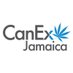 CanEx Jamaica (@canexjamaica) Twitter profile photo