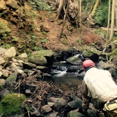 fuck_koga's profile picture. エリアトラウト歴７年のオッサンです（40歳）ホームは発光路の森、なら山沼です。 バス釣りもボチボチやります。よろしくお願いします。