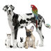Tallahassee Pets (@tallypetconnect) Twitter profile photo Tallahassee Pets (@tallypetconnect) Twitter profile photo