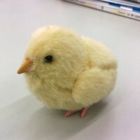 めけてぃ (@meke_thi) 's Twitter Profile Photo