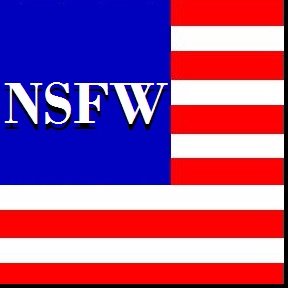 NSFWPolitics