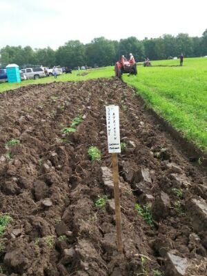 dairy farmer, mom to four great kids, ag journalist