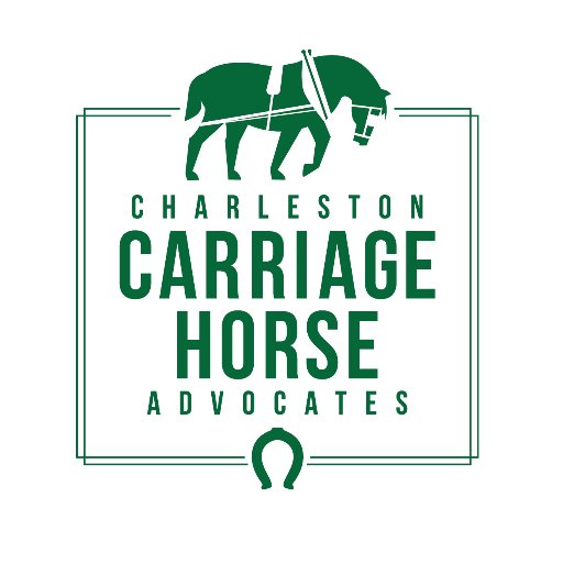 Charleston Carriage Horse Advocates (CCHA) is an animal welfare organization to address the treatment of carriage horses and mules. #charleston #animaladvocate