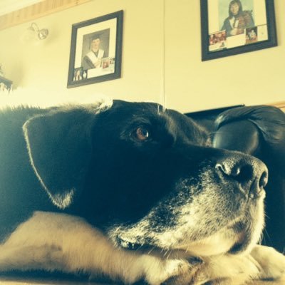 BroandBro456's profile picture. XB360- SupDudeImPro.