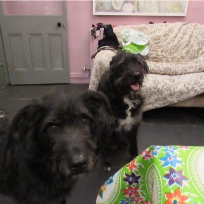 tinabeltina's profile picture. 