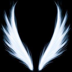 Tenshi1807's profile picture. I was forsaken