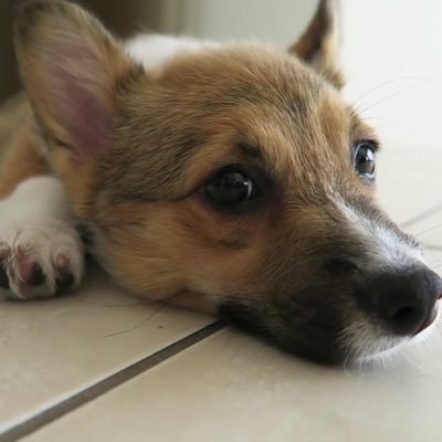 AyyMqrio's profile picture. 