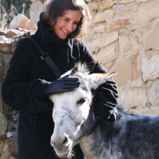 AzizaChaouniPr's profile picture. Aziza Chaouni Projects is an architecture firm based in Fez, Morocco and Toronto, Canada. We develop local innovative design solutions.