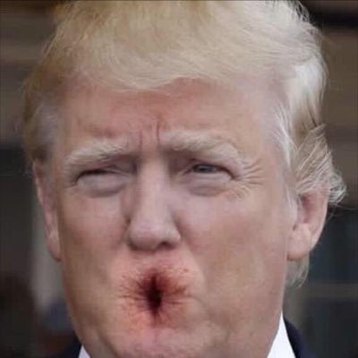 NoFurForFord's profile picture. Donald Trump would suck the skin off of Satan's dick.
