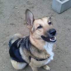 THORMICHAELSON's profile picture. EVERY DAY I AM SNUFFLIN'