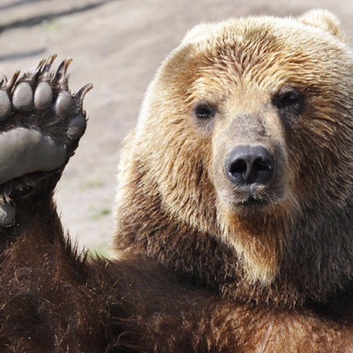 laundrybasket36's profile picture. 