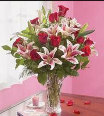 fofo1x2's profile picture. سبحان الله وبحمده** سبحان الله العظيم