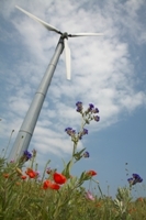 LiveGreenNow's profile picture. 