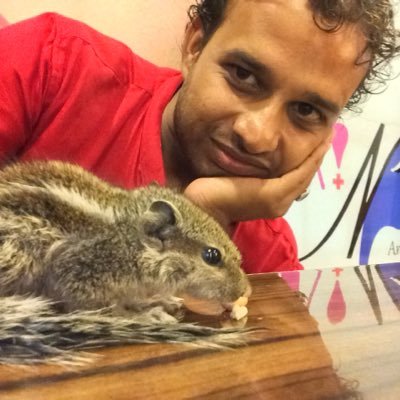 19avinashgolu's profile picture. 