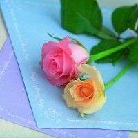 القلب الحنون 🌹 (@b45cba) 's Twitter Profile
