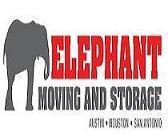 elephant moving