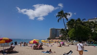 ohana_Hawaiian's profile picture. 