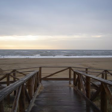 esanchezj's profile picture. Gaudeamus igitur, iuvenes dum sumus.