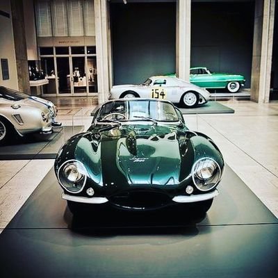 pandafinda's profile picture. 