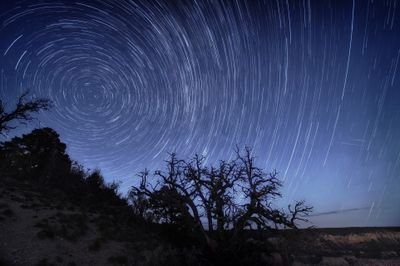 etasesh's profile picture. 