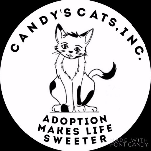 Candy S Cats On Twitter Cci Adoption Day Today Our Adoption