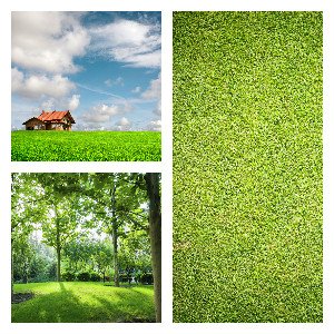 We can sastisfy all your landscaping needs and take perfect care of your lawn. Just a phone call away!  (603) 762-0451