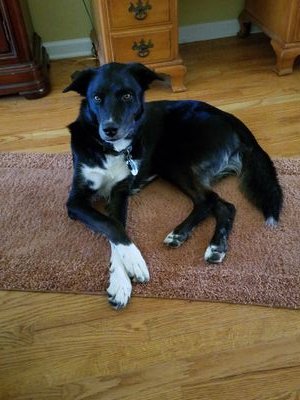 jeybro's profile picture. 