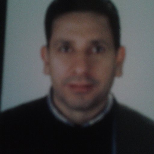 I graduated in Faculty of Al Alson, Ain Shams University. I have been working as professional translator for more than 10 years.