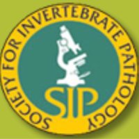SIP(@SocInvPathol) 's Twitter Profile Photo