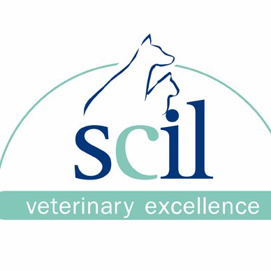 Veterinary Excellence.   Para scilVet, la excelencia no es un concepto, es una elección. ¿Y para ti?