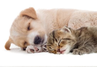 11ryuto13's profile picture. @ryuto7986
←優しい人は