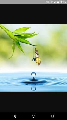 wrds9645's profile picture. Words. Extraordinary. Expressed from a simple mind then tweeted here. 

Follow and I will follow back