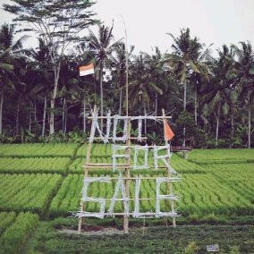 mrapaire's profile picture. legends are born