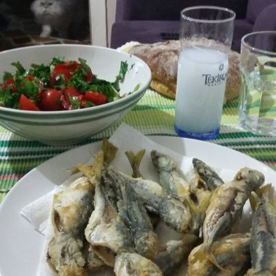 Ayhan79539671's profile picture. 