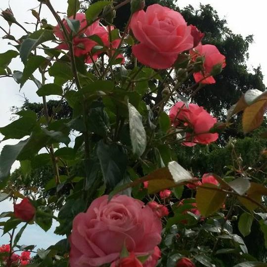 glkrm701's profile picture. 