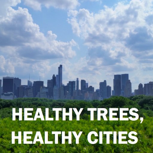 Improving tree health by engaging people in hands-on tree care and inspiring a new generation of environmental stewards.

https://t.co/QUjNmzzrlL