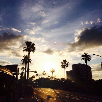 51_coco's profile picture. 関大政策 FC.KING