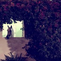 N.. (@n_s_m_w) 's Twitter Profile