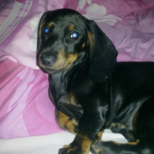 czerwiec1988's profile picture. ciekawość świata