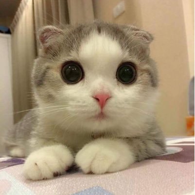 TunAmin's profile picture. Seorg Yg SeRIuS! #ziey #UiTMDiHATiKu. P38 Hulu Terengganu N21 Telemong this is War