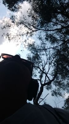 RaulRuedaB's profile picture. 