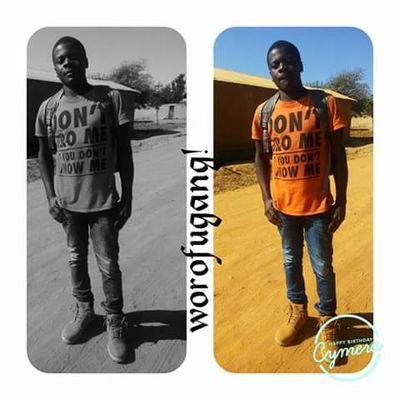 WolfugangP's profile picture. Arts & Culture