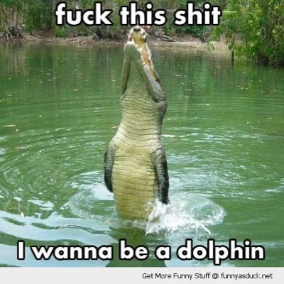 Rightdodgytwit's profile picture. 