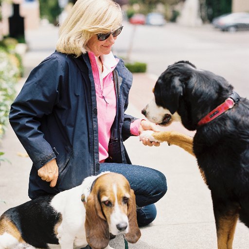 LisaJGates's profile picture. Writer, former professional dog walker and sports marketing/promotions executive